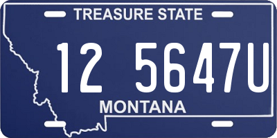 MT license plate 125647U