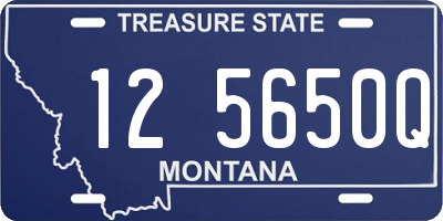 MT license plate 125650Q