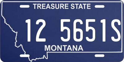 MT license plate 125651S