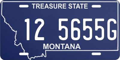 MT license plate 125655G
