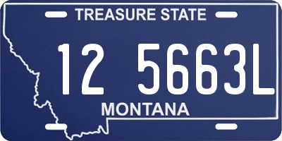 MT license plate 125663L