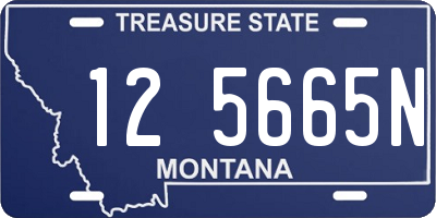 MT license plate 125665N