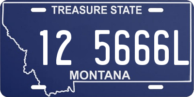 MT license plate 125666L