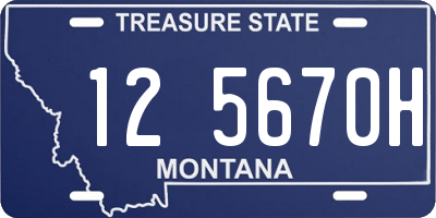MT license plate 125670H