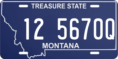 MT license plate 125670Q