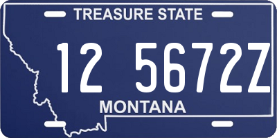 MT license plate 125672Z