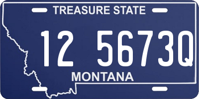 MT license plate 125673Q