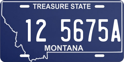 MT license plate 125675A