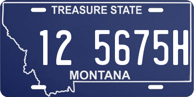 MT license plate 125675H