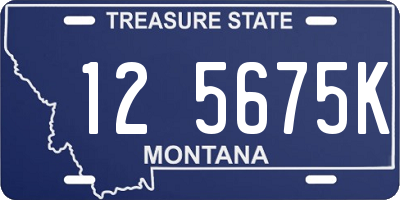 MT license plate 125675K