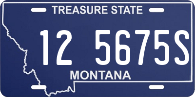 MT license plate 125675S