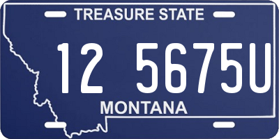 MT license plate 125675U