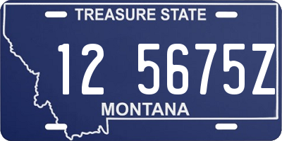 MT license plate 125675Z