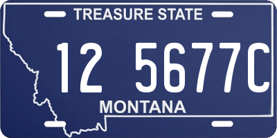 MT license plate 125677C