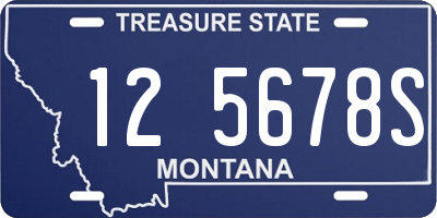 MT license plate 125678S