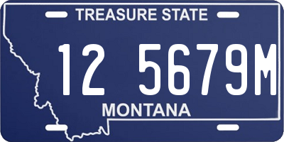 MT license plate 125679M