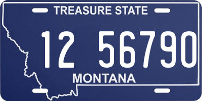 MT license plate 125679O