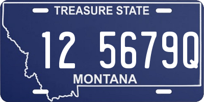 MT license plate 125679Q