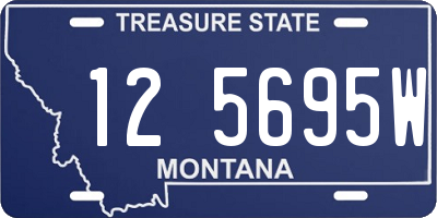 MT license plate 125695W