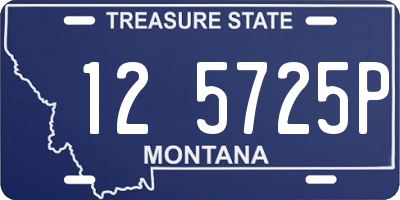 MT license plate 125725P