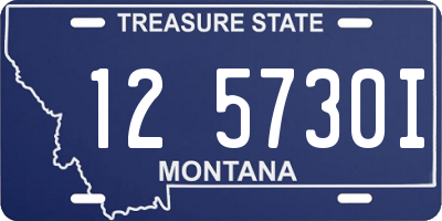 MT license plate 125730I