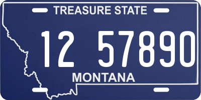 MT license plate 125789O