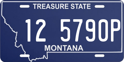 MT license plate 125790P