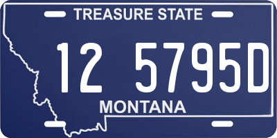 MT license plate 125795D