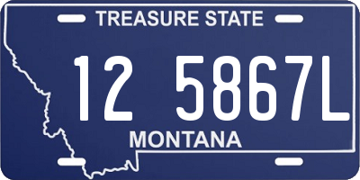 MT license plate 125867L