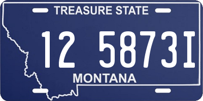 MT license plate 125873I