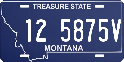 MT license plate 125875V