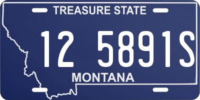 MT license plate 125891S