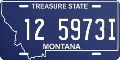 MT license plate 125973I