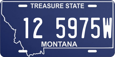 MT license plate 125975W