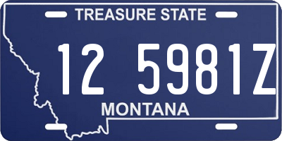 MT license plate 125981Z