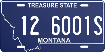 MT license plate 126001S