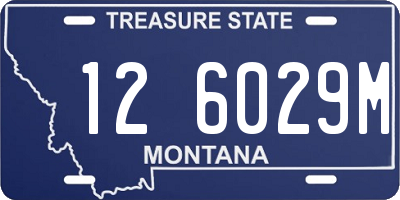 MT license plate 126029M