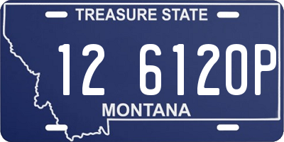 MT license plate 126120P