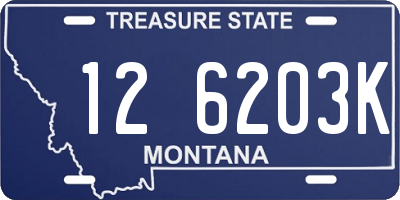 MT license plate 126203K