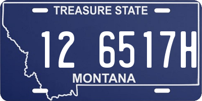 MT license plate 126517H