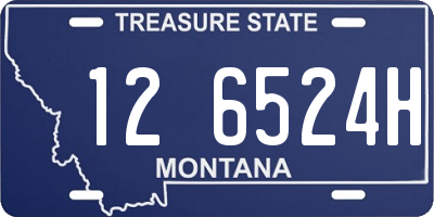 MT license plate 126524H