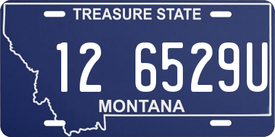 MT license plate 126529U