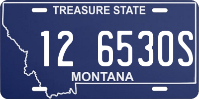 MT license plate 126530S