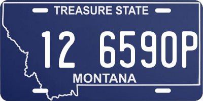 MT license plate 126590P