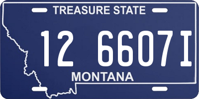 MT license plate 126607I