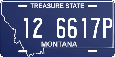 MT license plate 126617P
