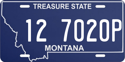 MT license plate 127020P