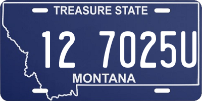 MT license plate 127025U