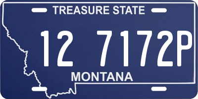 MT license plate 127172P