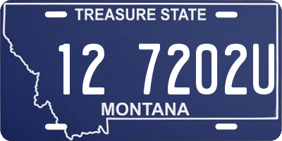 MT license plate 127202U